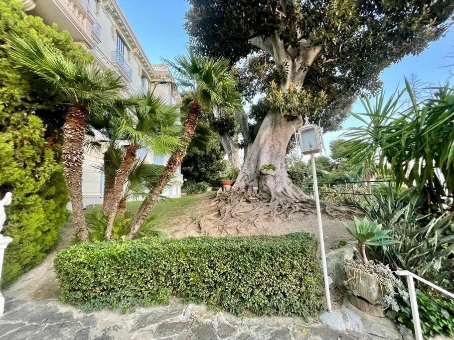 Suite Cavalieri Di Rodi 6 - Ospedaletti Esterno foto
